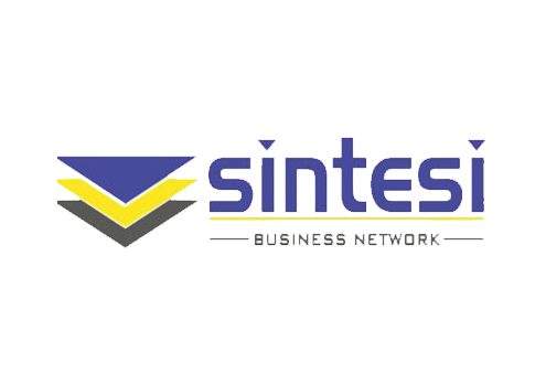 Sintesi Business-Network-logo